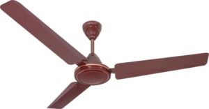 Havells Pacer 1200mm Ceiling Fan