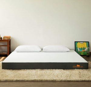 SleepyCat - Orthopedic Gel Memory Foam Mattress