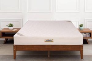 Springtek Ortho Pocket Spring 6-inch Queen Size Mattress