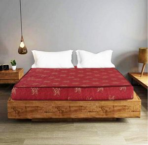 COIR FIT Beetle 4-inch Queen Size Coir Mattress