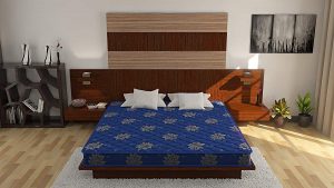 Century Mattresses Lotus 4 inch Queen Coir Mattress