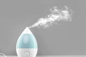  Best Humidifiers